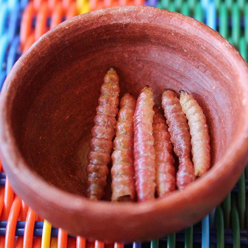 casadelossabores-048-menuoaxaca